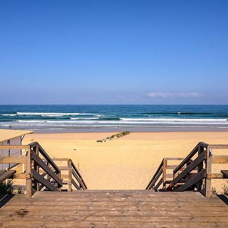 La Cabane Maddyblue 5 Min A Pieds De L'Ocean Et Commerce 미미장플라즈 외부 사진